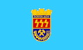 Obština Bobov Dol – vlajka