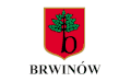 Brwinów – vlajka