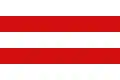 Carpi – vlajka
