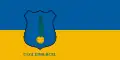 Ceglédbercel – vlajka