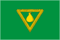 Čagodoščenský rajón – vlajka