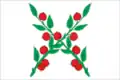 Čaplygin – vlajka
