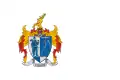 Cigánd – vlajka