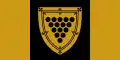 Cornwall – vlajka