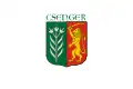 Csenger – vlajka