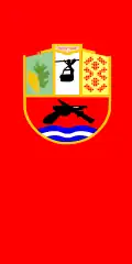 Opština Demir Hisar – vlajka