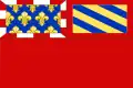 Dijon – vlajka