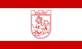 Obština Dimovo – vlajka