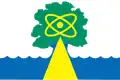 Dubna – vlajka