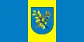 Dzjaržynsk – vlajka