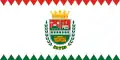 Egyed – vlajka