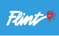 Flint – vlajka