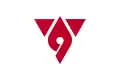 Hadano – vlajka