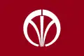 Iizuka – vlajka