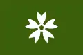 Iwakuni – vlajka