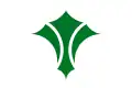 Izumi – vlajka