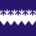 Kõue vald – vlajka