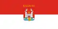 Kalocsa – vlajka