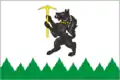 Kirovgrad – vlajka