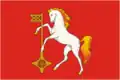 Kochma – vlajka