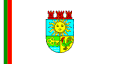 Kostinbrod – vlajka