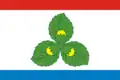 Krasnoznamensk – vlajka
