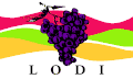 Lodi – vlajka