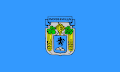 Obština Loznica – vlajka