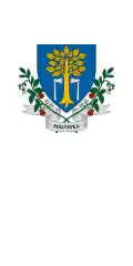 Mályinka – vlajka
