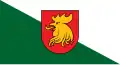 Madona – vlajka