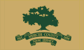 Mercer County – vlajka