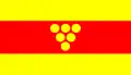 Negotino – vlajka