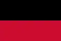 Nijmegen – vlajka