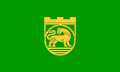 Obština Nova Zagora – vlajka