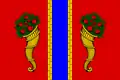 Novaja Ladoga – vlajka