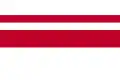 Onomiči – vlajka