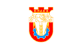 Obština Opaka – vlajka
