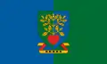 Ordas – vlajka