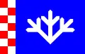 Padise vald – vlajka