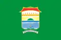 Palembang – vlajka