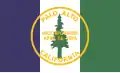 Palo Alto – vlajka