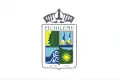 Pichilemu – vlajka