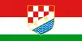 Posavský kanton – vlajka