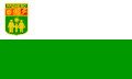 Obština Radnevo – vlajka