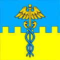 Rava-Ruska – vlajka