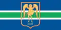 Rybnica – vlajka