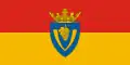 Sátoraljaújhely – vlajka
