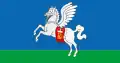 Sluck – vlajka