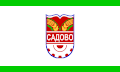 Obština Sadovo – vlajka