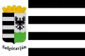Salgótarján – vlajka
